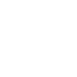 Denver Bike Gang